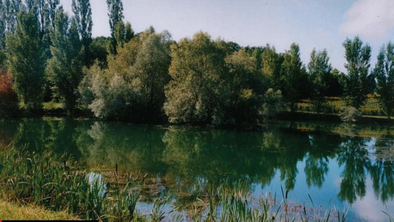 CatonvielleLa Decouverte, Jacuzzi, Sauna, Et Terrasse Avec Vue Sur Lac A La Campagne Entre Toulouse Et Auch别墅 外观 照片