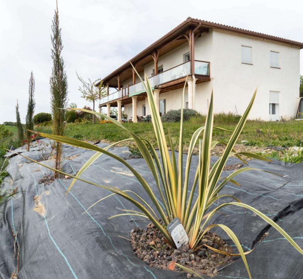 La Decouverte, Jacuzzi, Sauna, Et Terrasse Avec Vue Sur Lac A La Campagne Entre Toulouse Et Auch Catonvielle 外观 照片